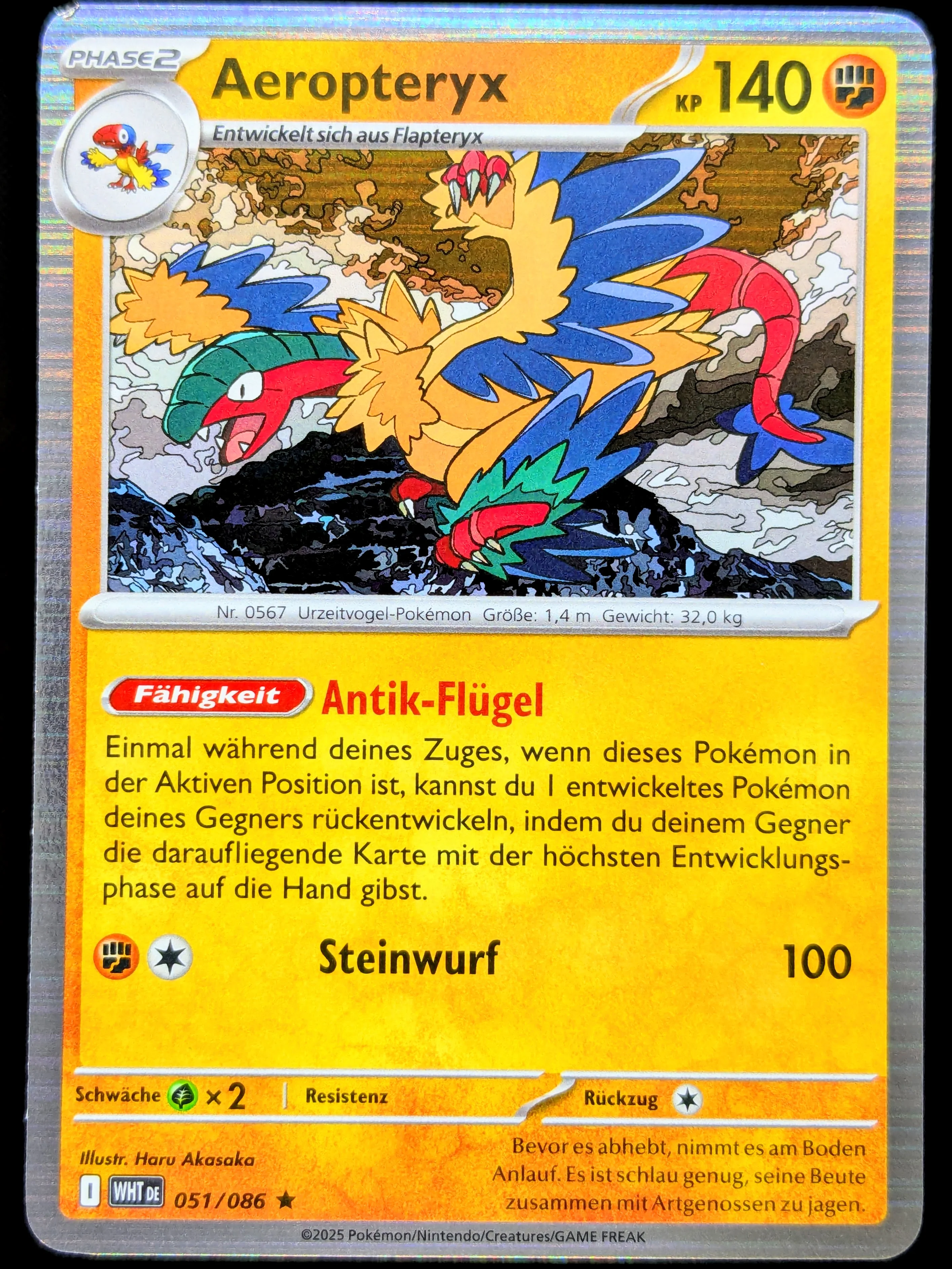 Vorschaubild 1