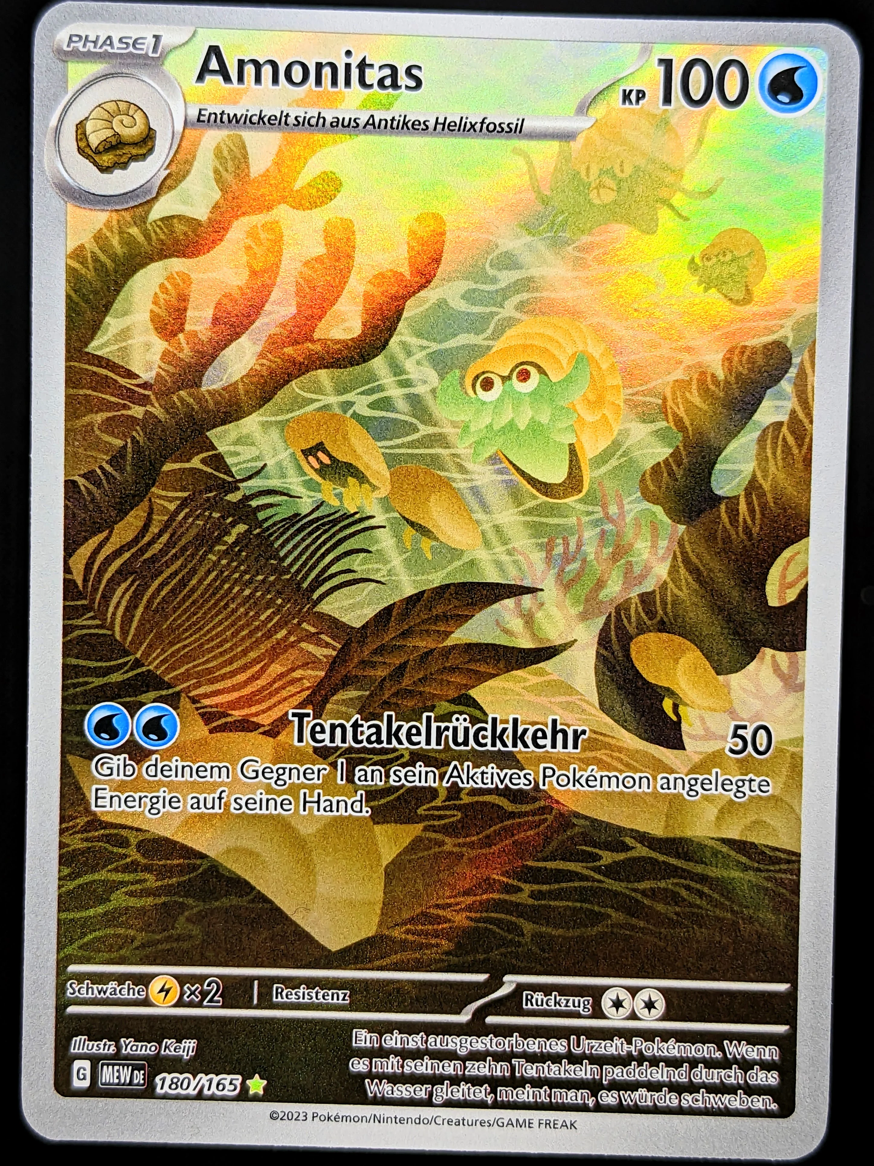Amonitas 180/165 Illustration Rare DE