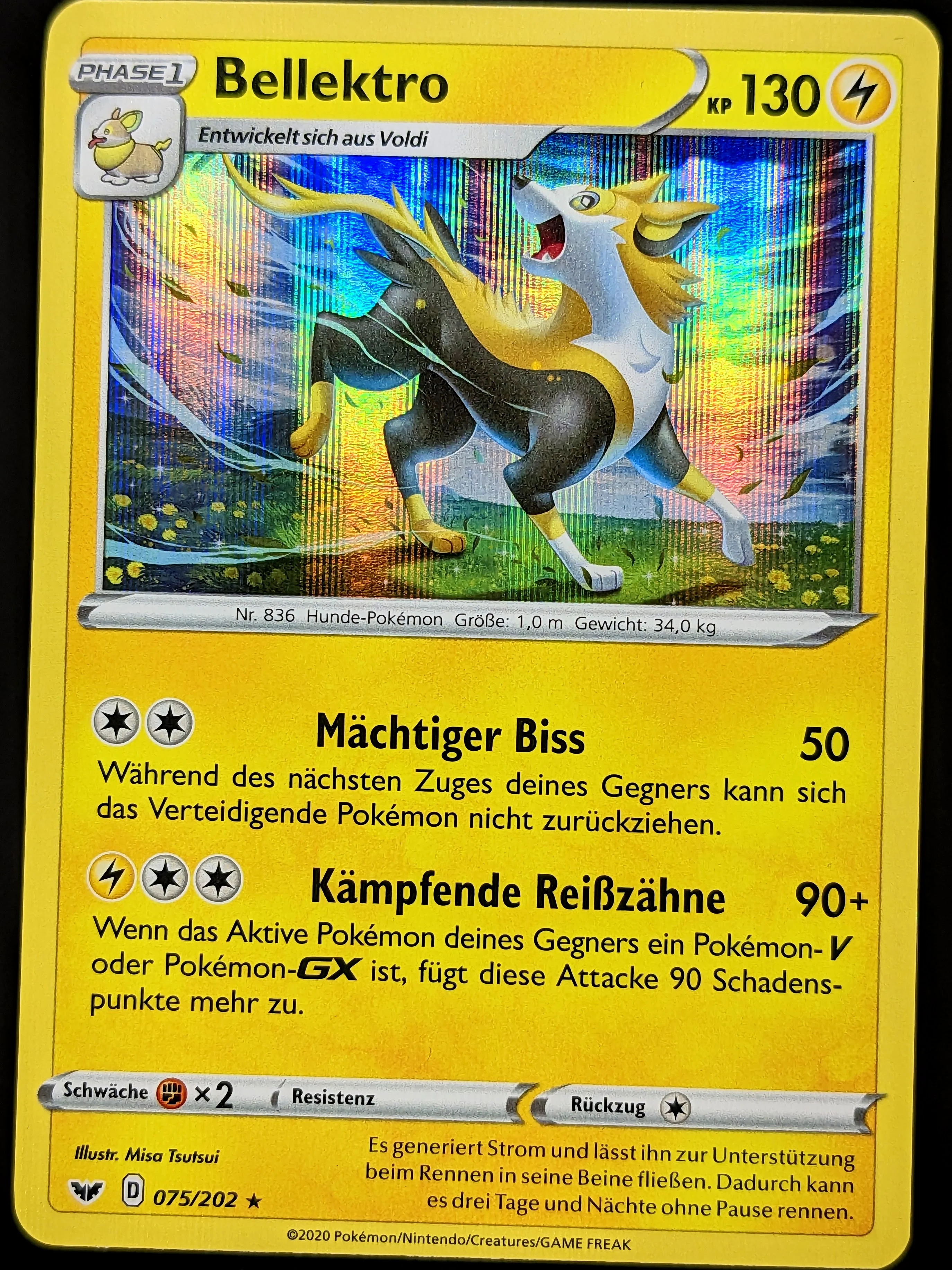 Bellektro Holo 075/202 DE