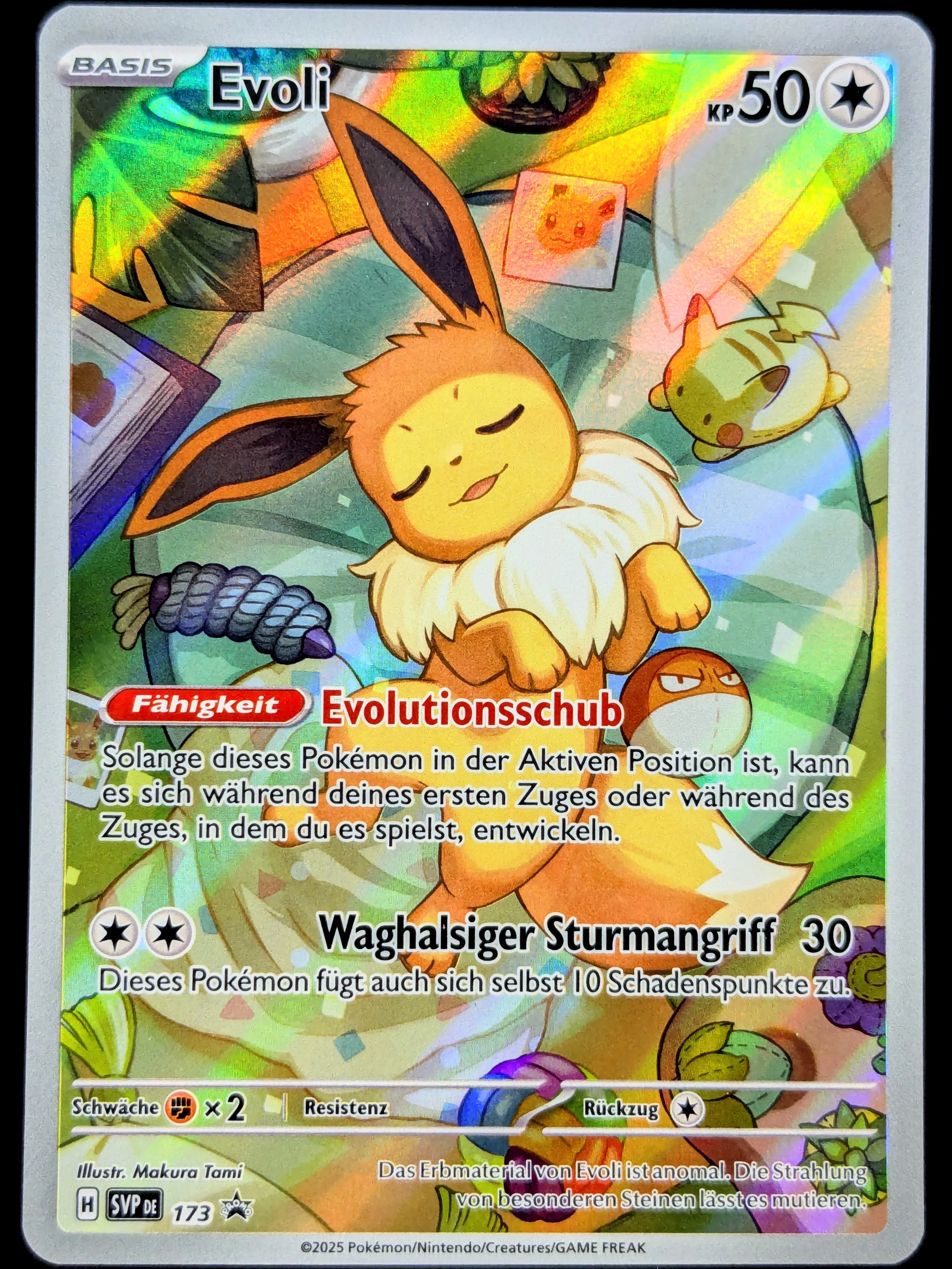 Vorschaubild 1