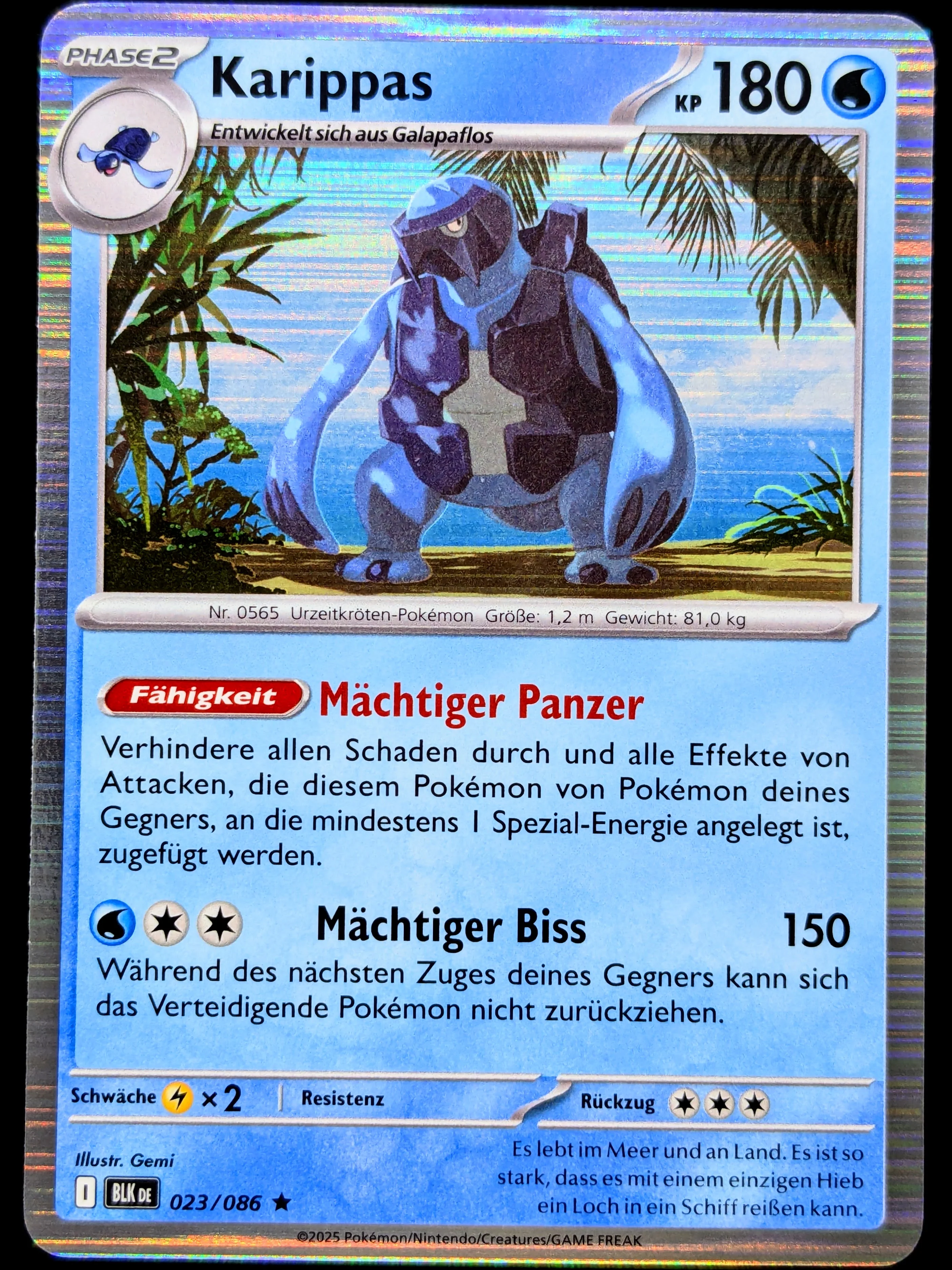 Vorschaubild 1
