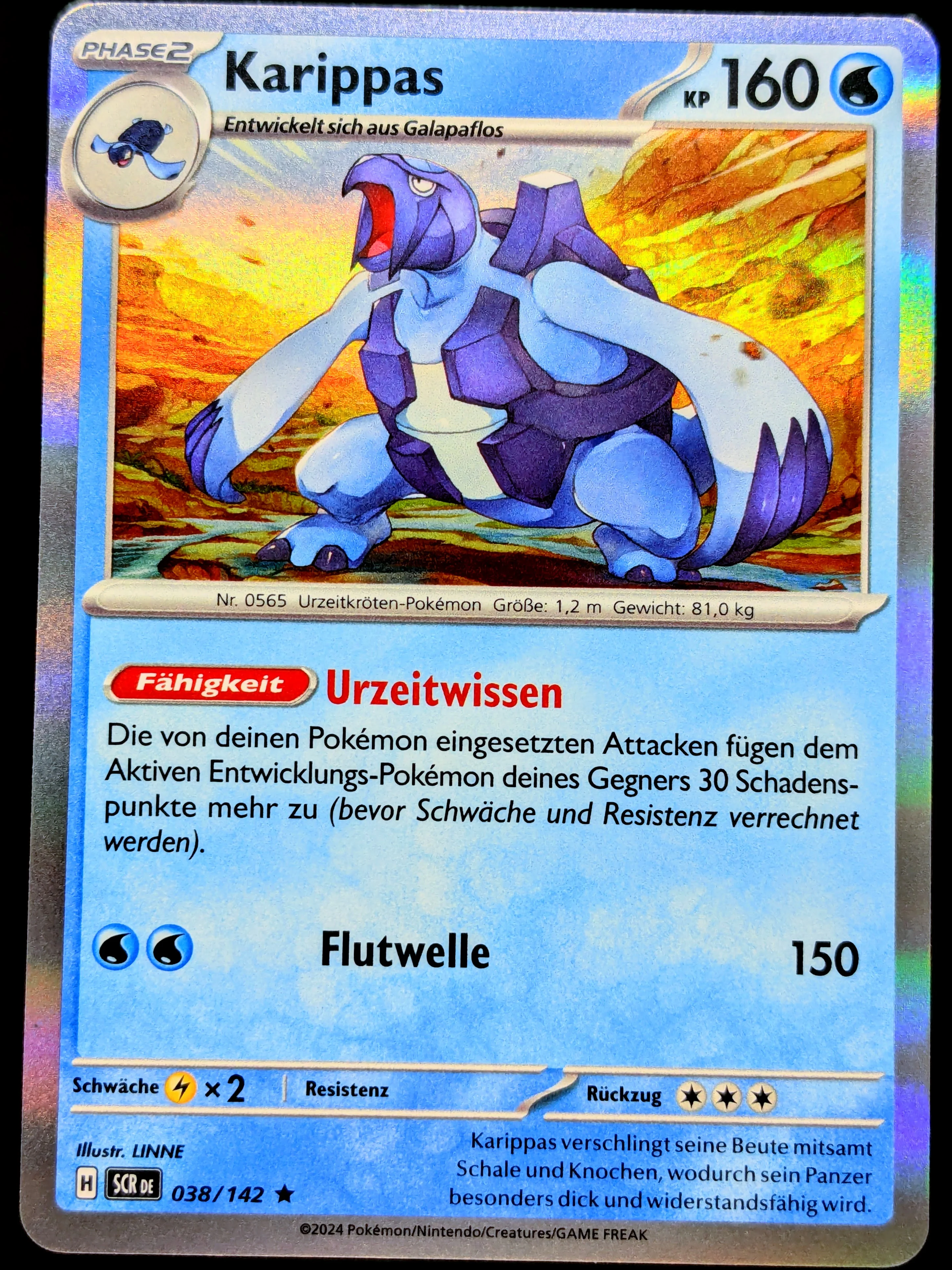 Karippas Holo 038/142 DE