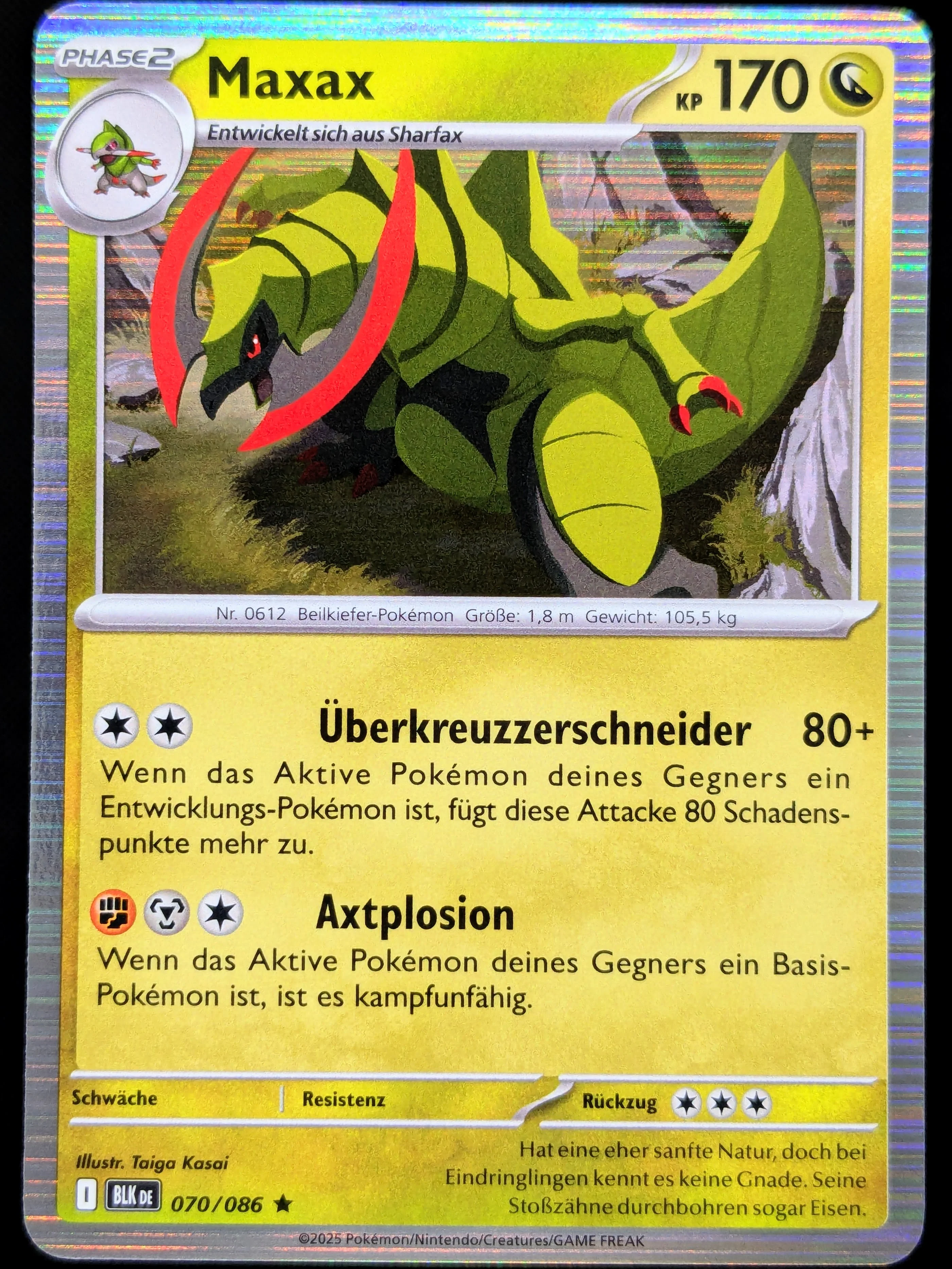 Vorschaubild 1