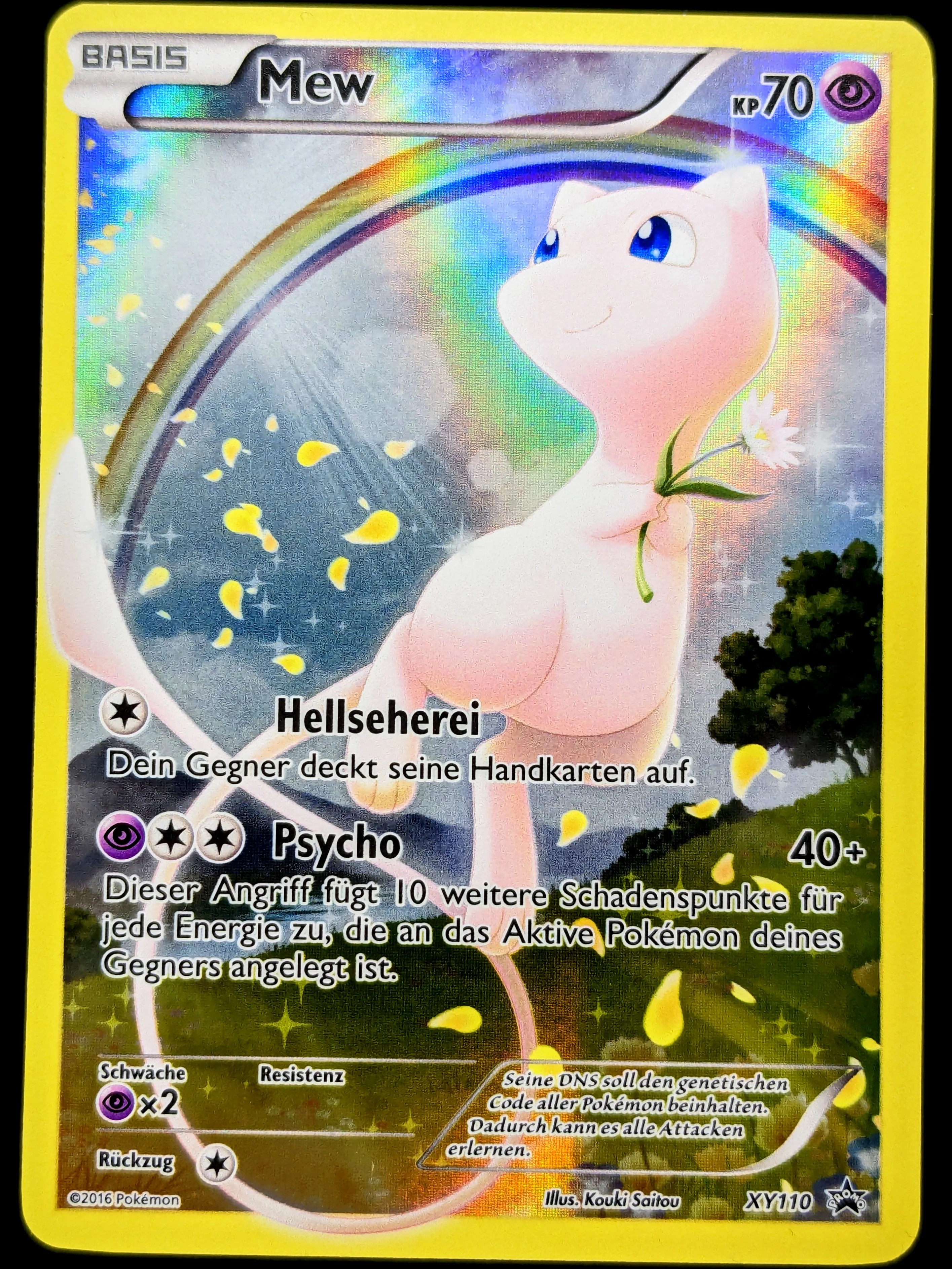 Vorschaubild 1