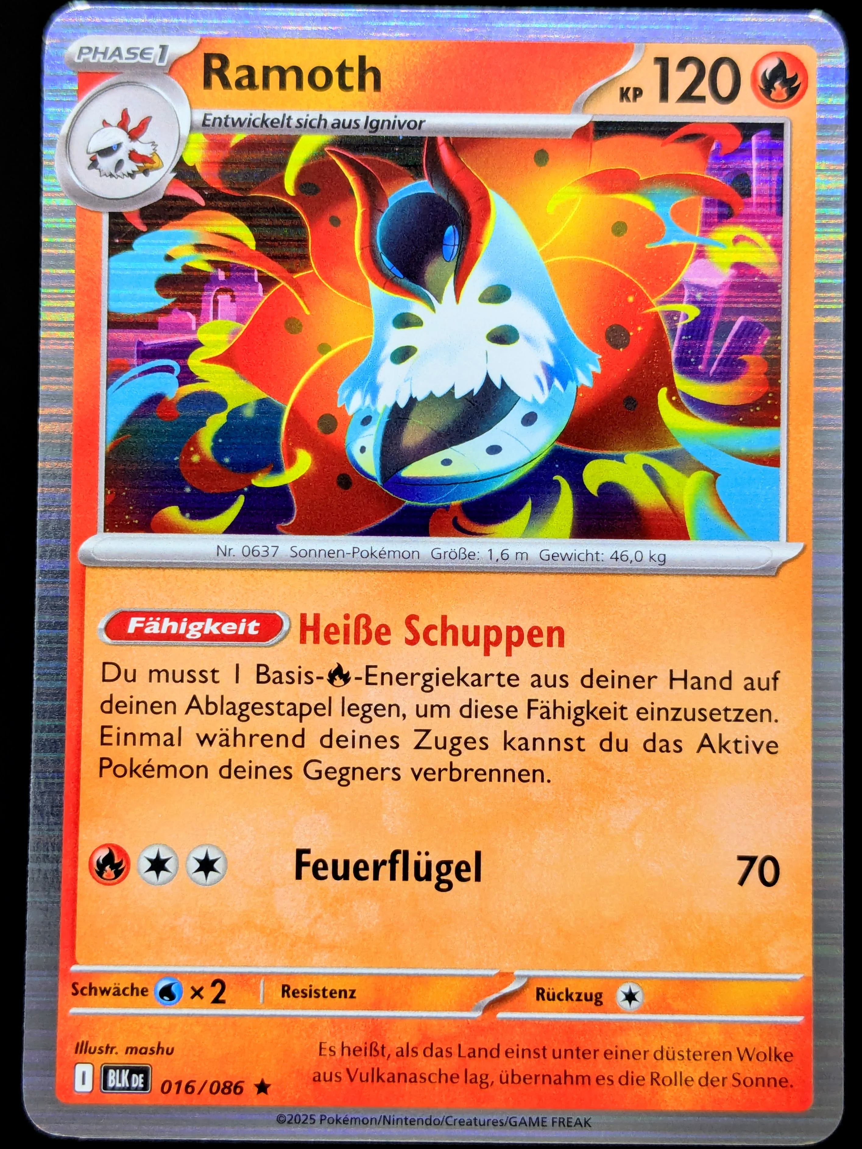 Vorschaubild 1