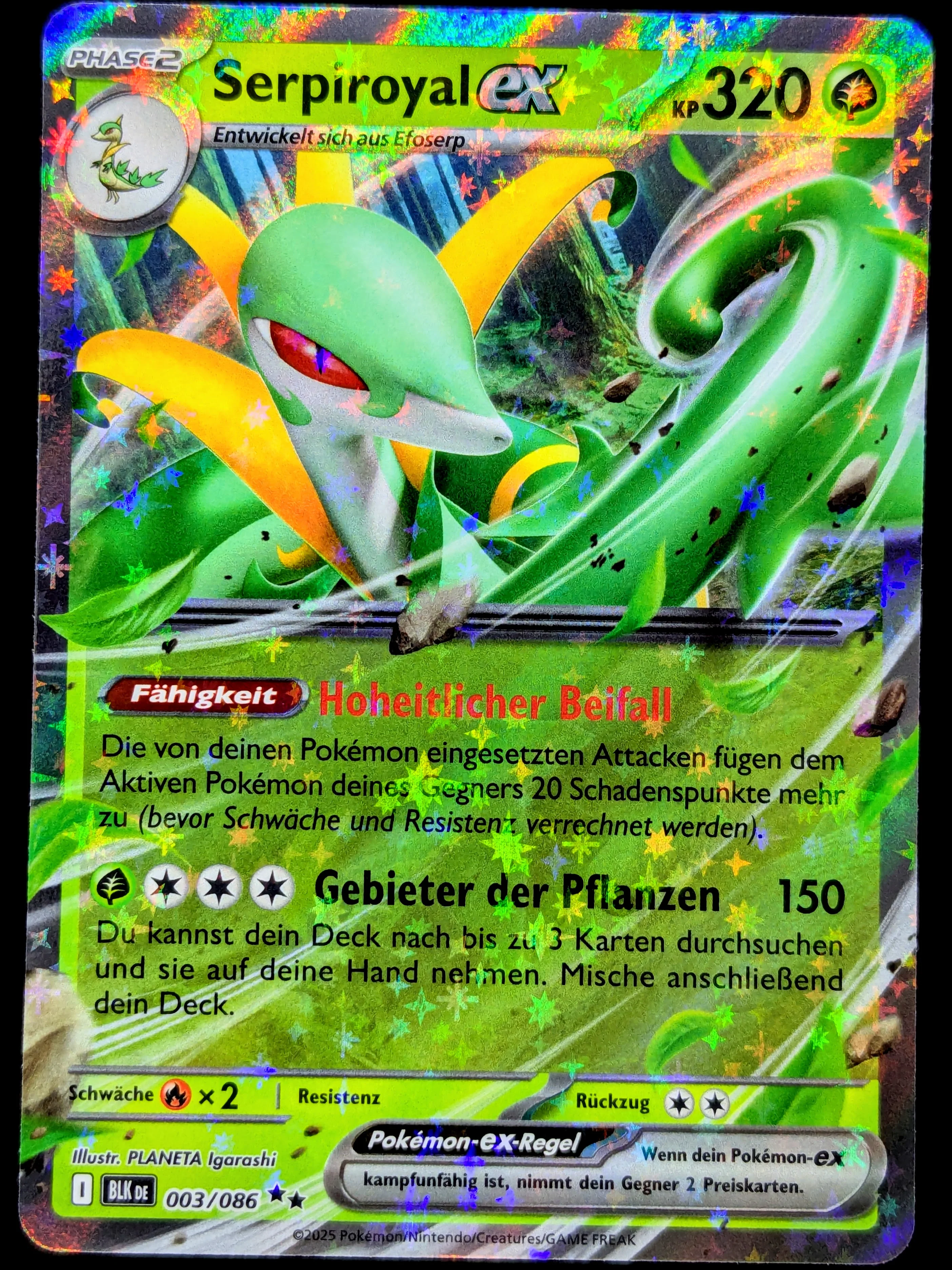 Vorschaubild 1