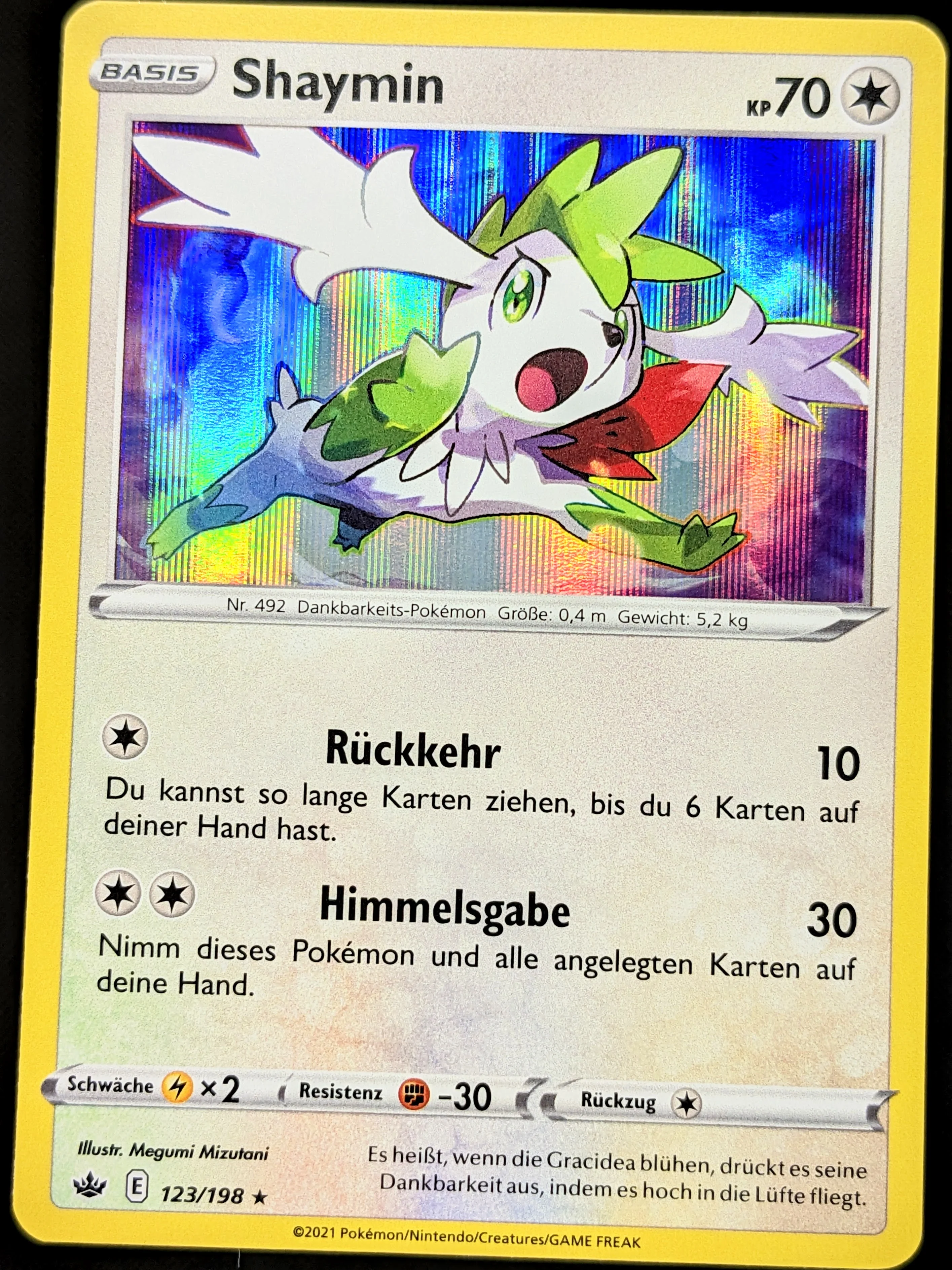 Vorschaubild 1